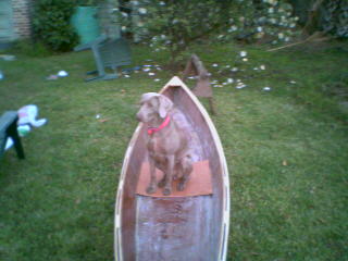 Boat Dog?
Keywords: CC14 Cheap Canoe