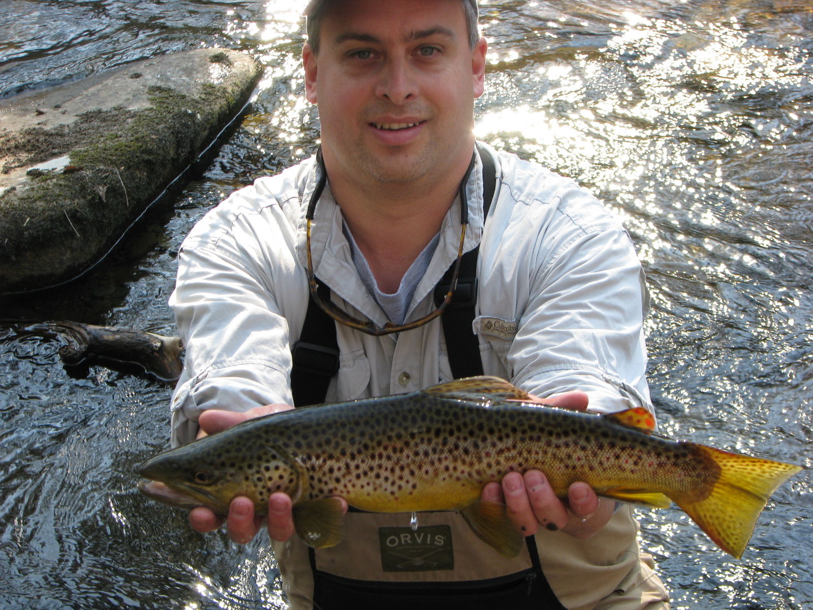 Little River Brown 
